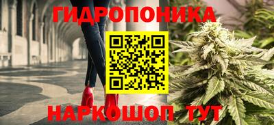 спиды Гусь-Хрустальный