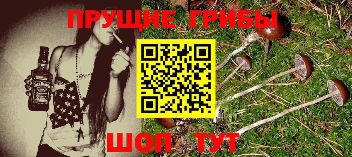 Псилоцибиновые грибы мицелий Мичуринск