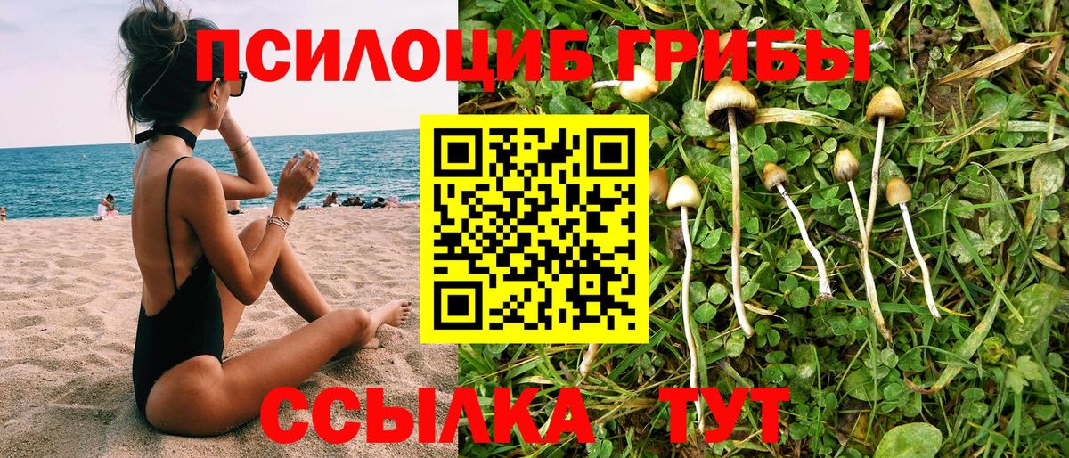 Мичуринск  Псилоцибиновые грибы ЛСД  хочу наркоту  Вход с VPN 